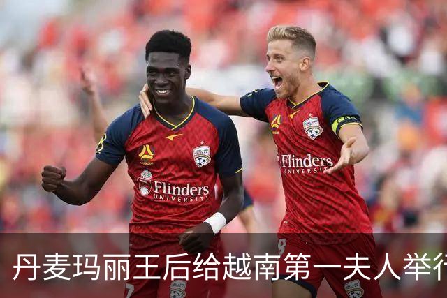 丹麦玛丽王后给越南第一夫人举行欢迎晚宴，佩戴新王冠超精致